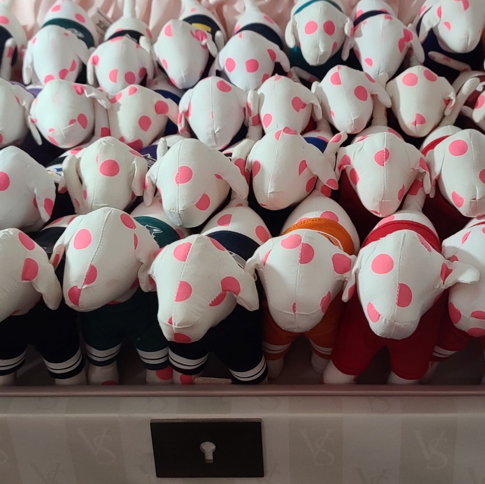 Nfl and College mini Pups